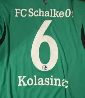 Beflockung Schalke 04 – Ausweich · 13/14