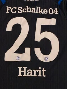 Beflockung Schalke 04 – Ausweich · 19/20